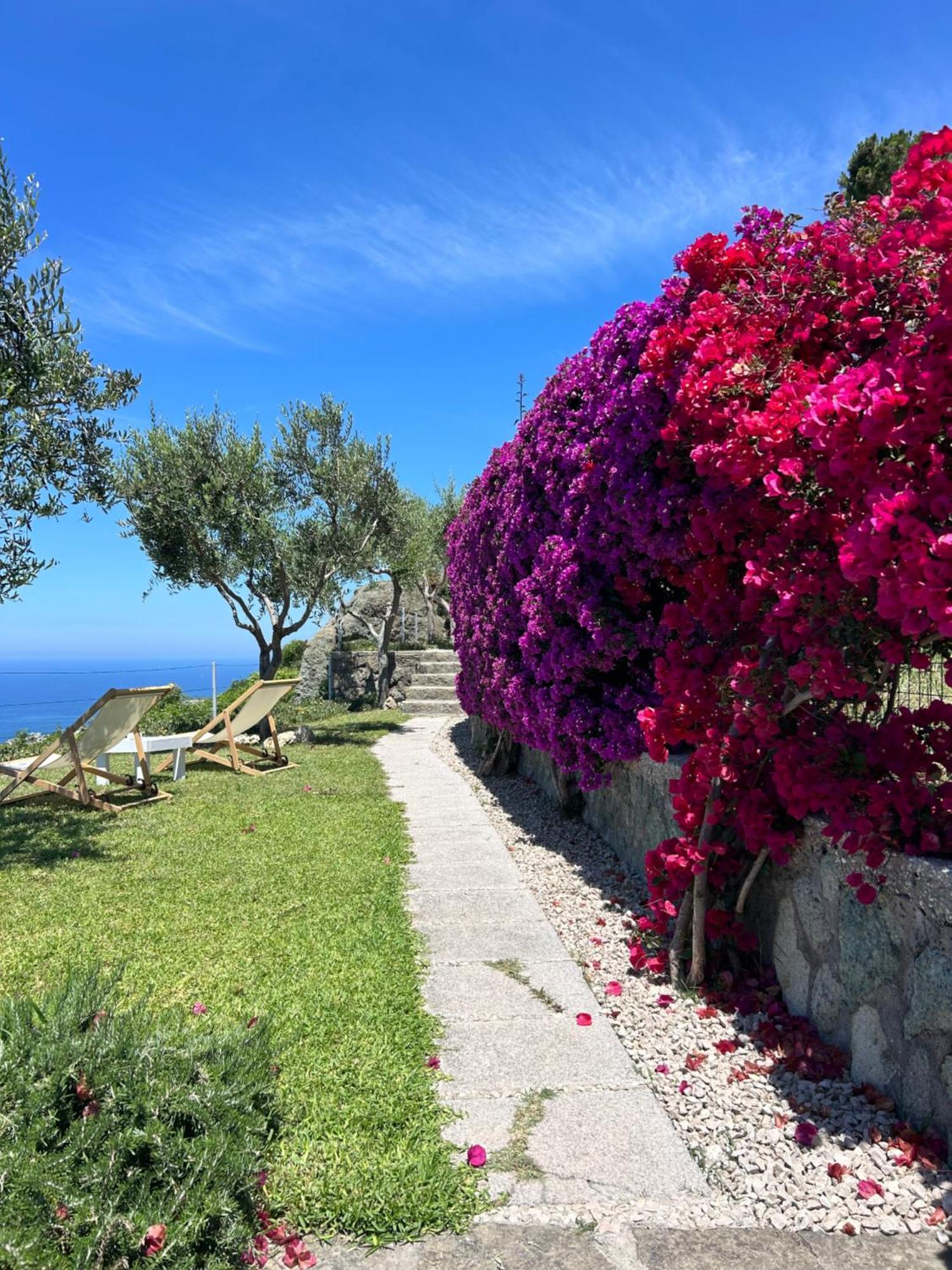 Villa Inarime Иския Екстериор снимка