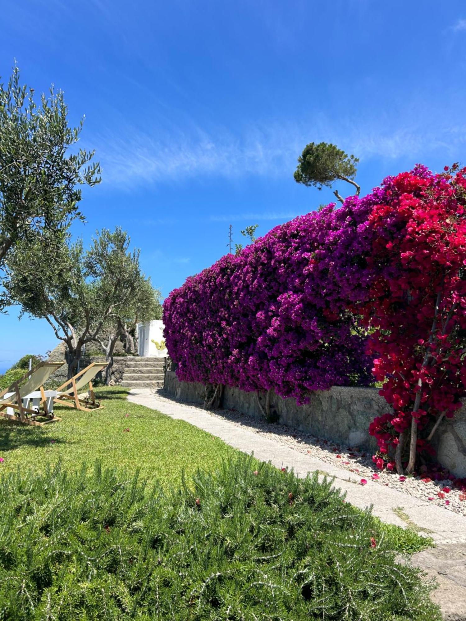 Villa Inarime Иския Екстериор снимка