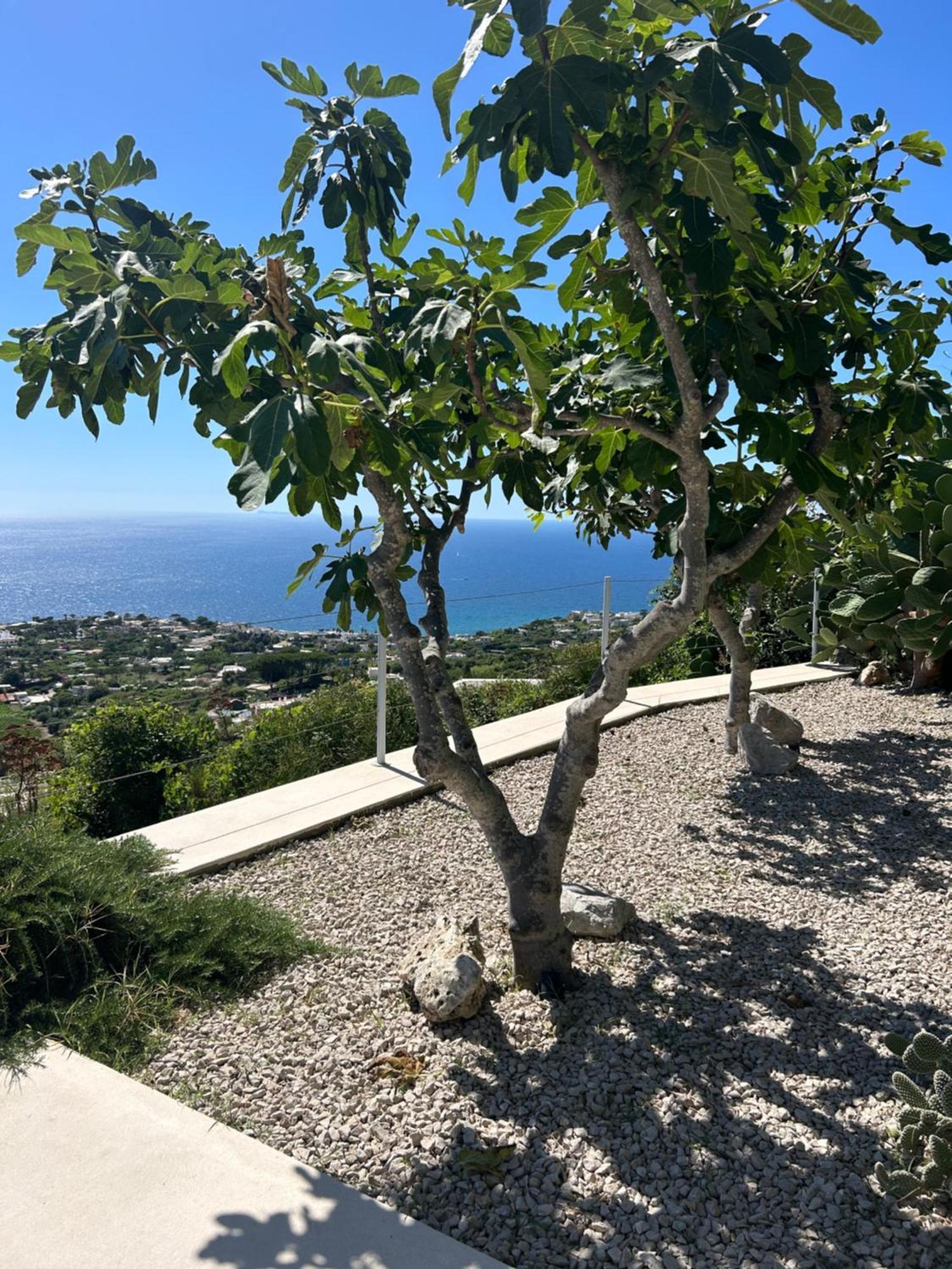 Villa Inarime Иския Екстериор снимка